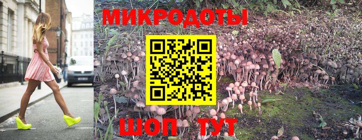 Псилоцибиновые грибы Psilocybine cubensis Кушва